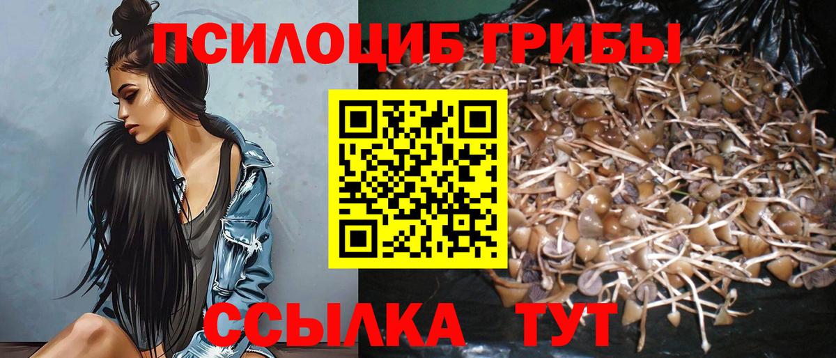 Галлюциногенные грибы Magic Shrooms  Вход с VPN  Малгобек 